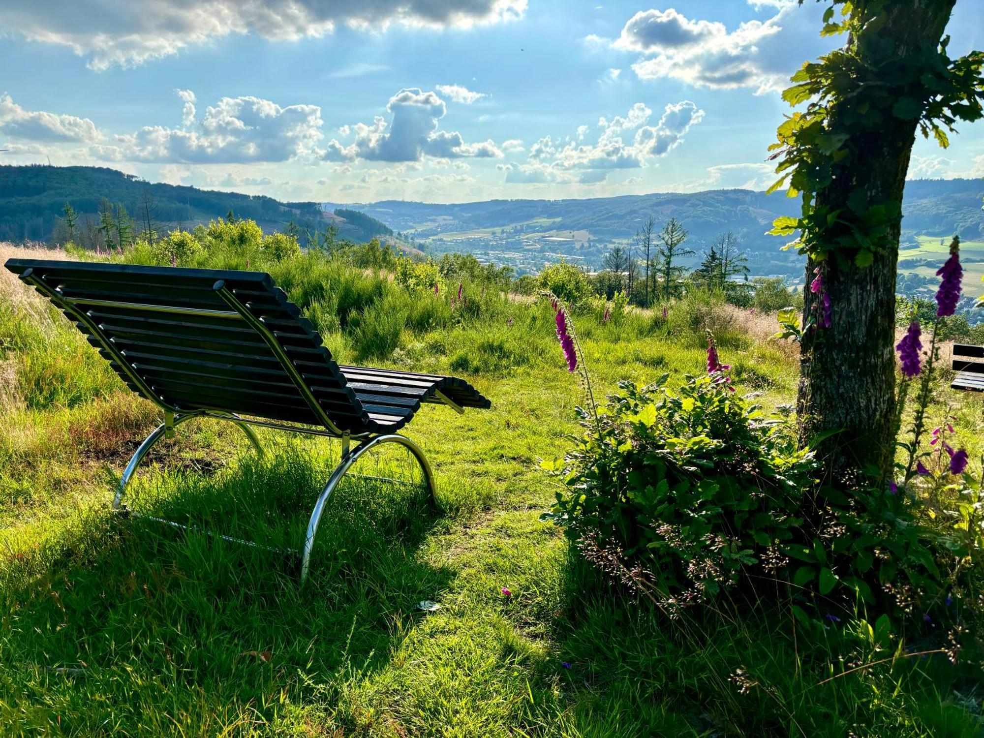 Traumwohnung Mit Sauna & Kamin, Direkt Am Wald Plettenberg Exterior foto